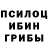 Галлюциногенные грибы Psilocybine cubensis f1a5hka