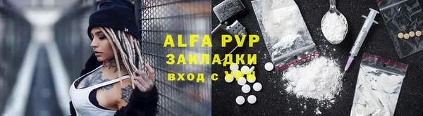 стаф Нефтекумск